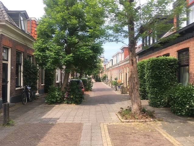 Een woonerf in Nederland