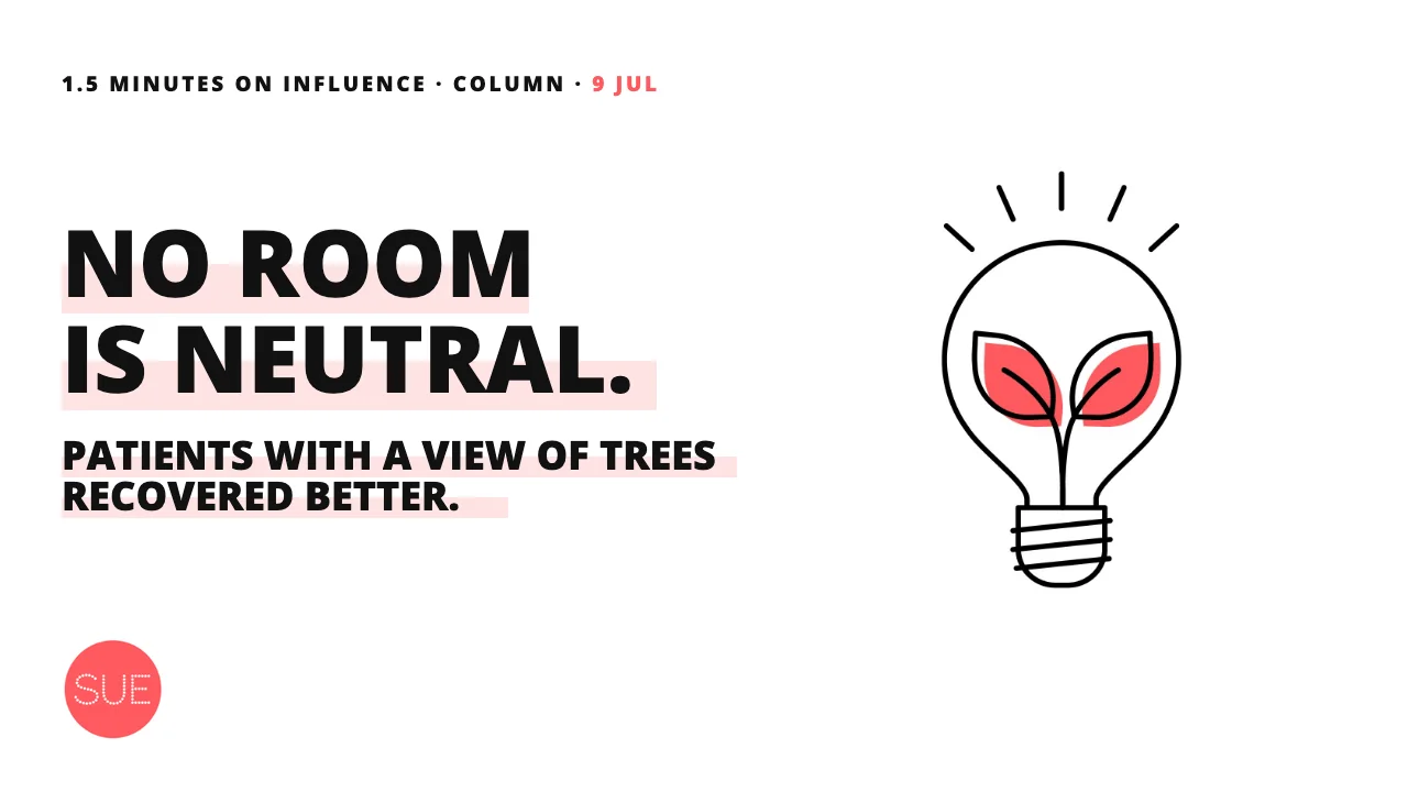 Column thumbnail: Hospital design: how to build a place where the body heals faster